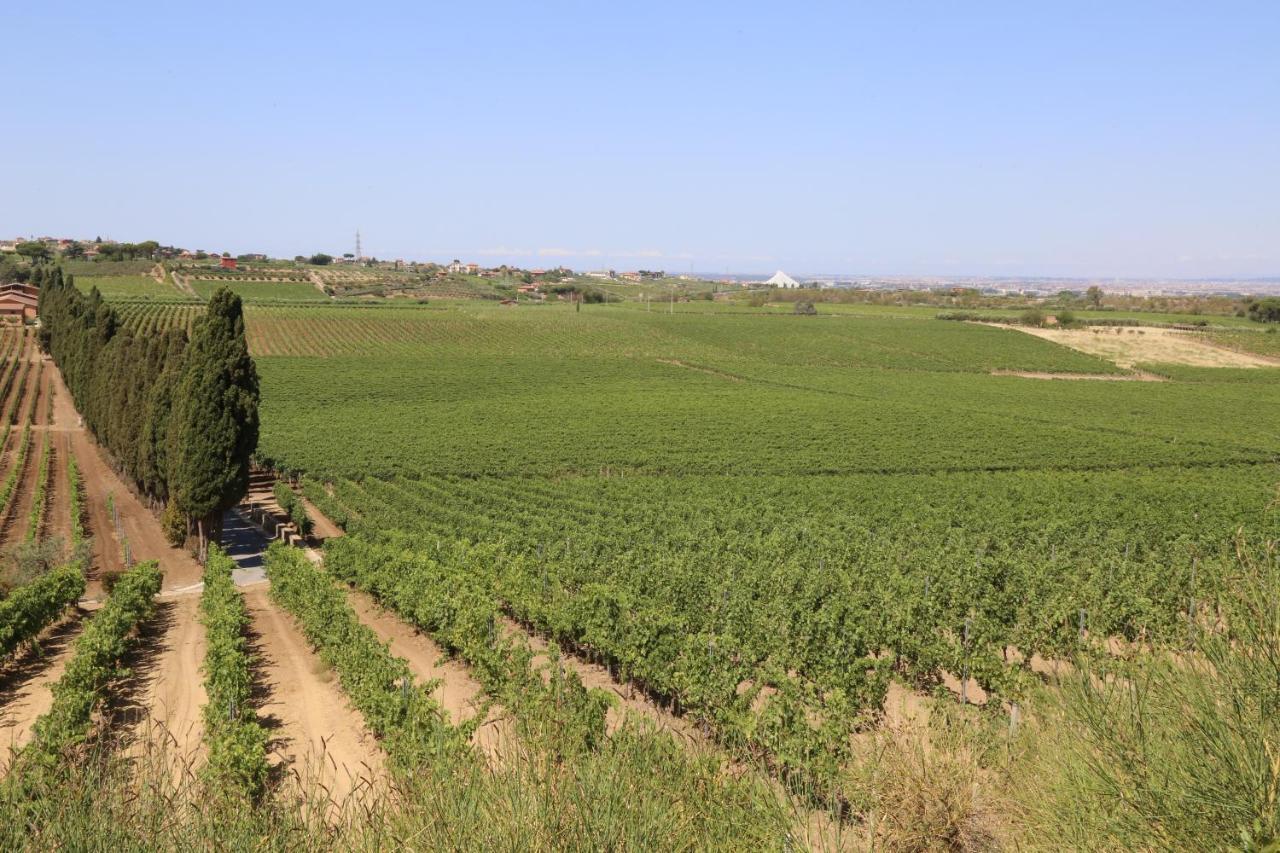 Tenuta Di Pietra Porzia Monte Porzio Catone Buitenkant foto