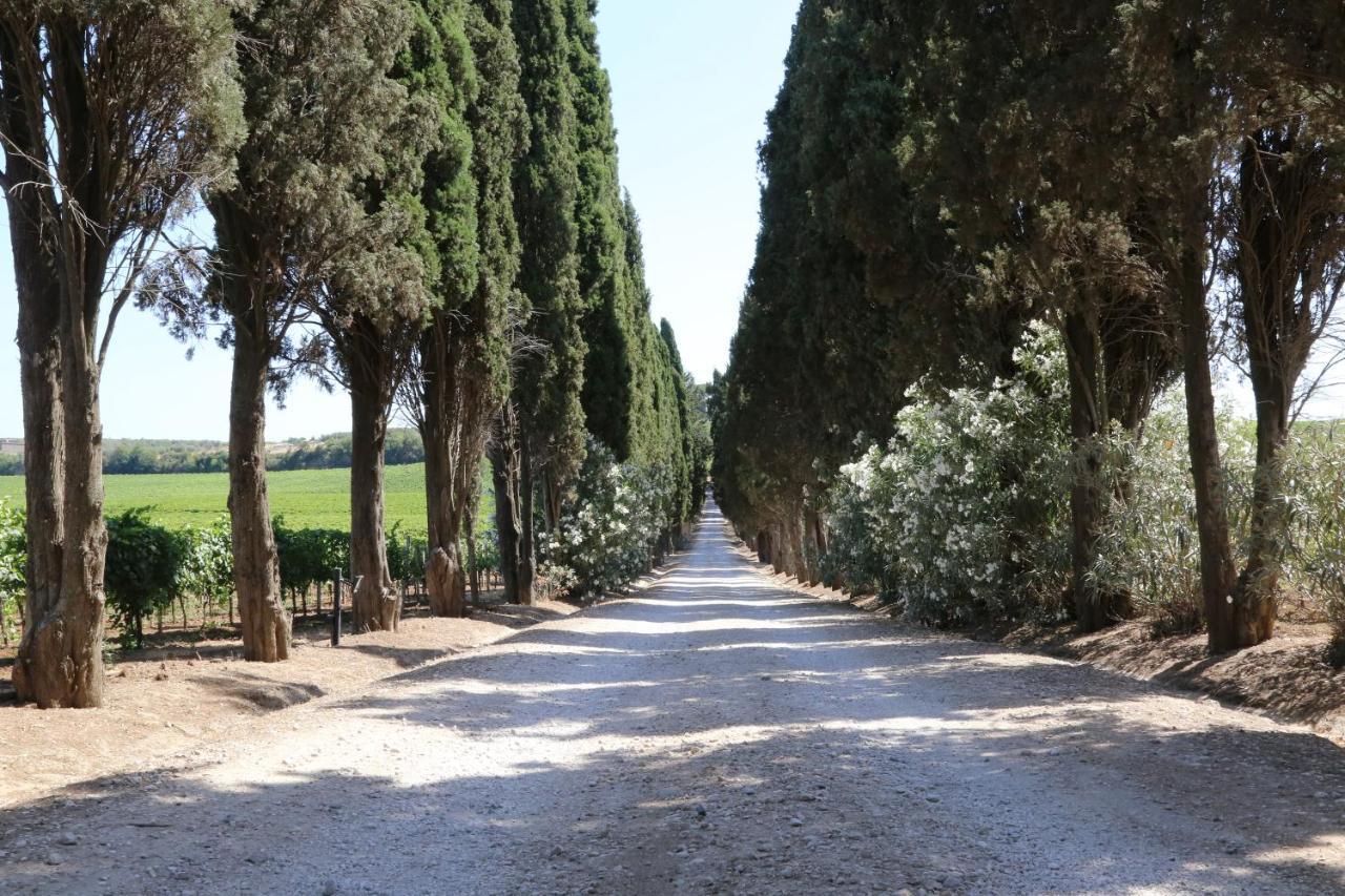 Tenuta Di Pietra Porzia Monte Porzio Catone Buitenkant foto