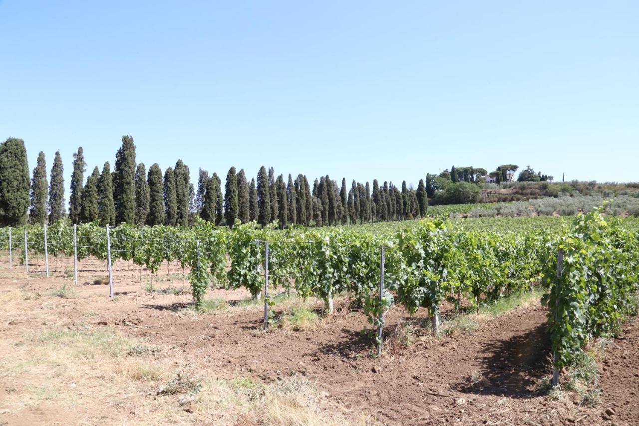 Tenuta Di Pietra Porzia Monte Porzio Catone Buitenkant foto