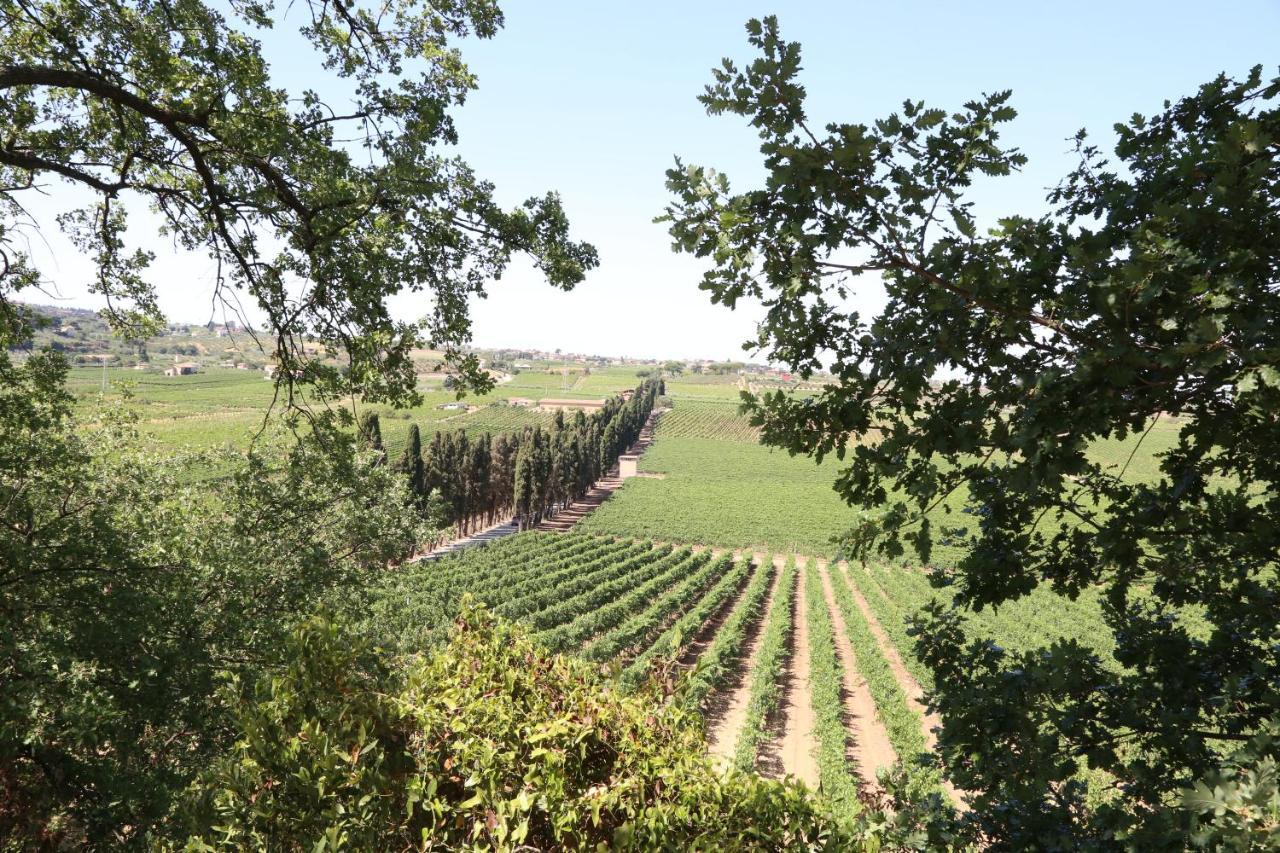 Tenuta Di Pietra Porzia Monte Porzio Catone Buitenkant foto
